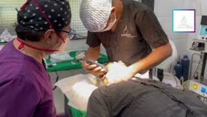 Read more about the article BEARD HARVESTING FOR HAIR TRANSPLANT IN NAVI MUMBAI BY DR ARUN PANDA