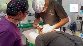 Read more about the article BEARD HARVESTING FOR HAIR TRANSPLANT IN NAVI MUMBAI BY DR ARUN PANDA